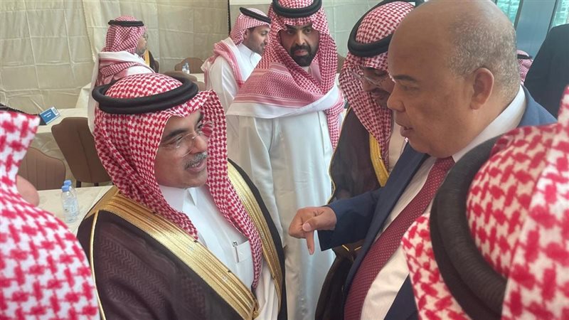 العشري يبحث مع نائب