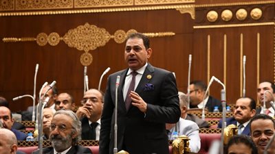 النائب فرج فتحي: مشروع الرقم القومي للعقار يضع حدا لعشوائية التوثيق 