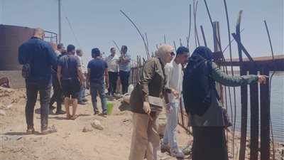محافظ الإسماعيلية يتابع جهود البيئة على بحيرة التمساح لتقليل مصادر التلوث