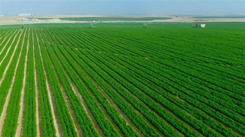 مشروع مستقبل مصر