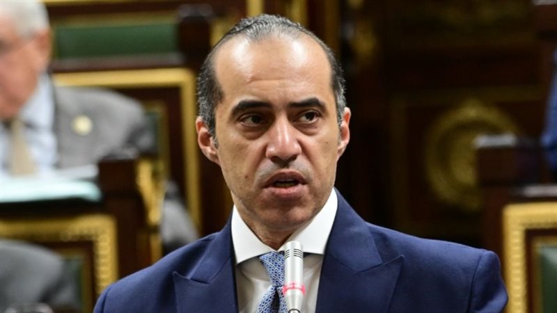المستشار محمود فوزي