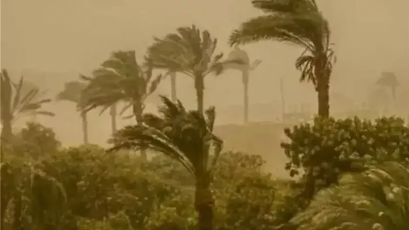 الزراعة والتقلبات