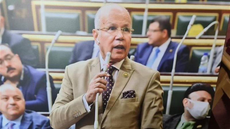 النائب سيد شمس الدين