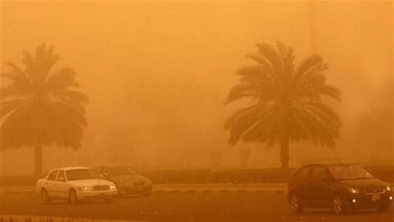 نصائح لمرضى الجيوب