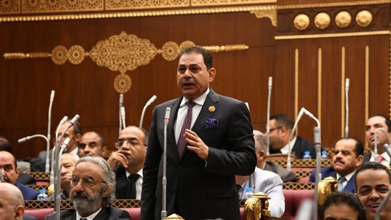 النائب فرج فتحي