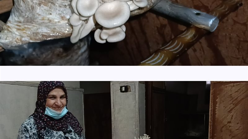 جانب من المشروع