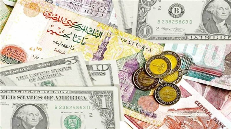 سرقة ألف دولار -