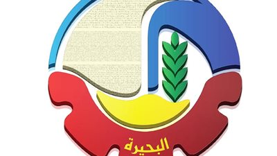 سنابل الخير.. توريد 23000 طن قمح محلي لشون وصوامع البحيرة 
