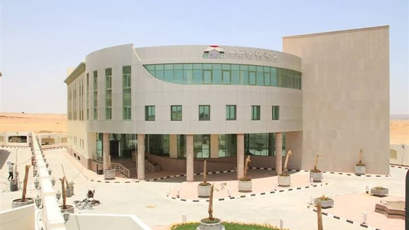 التعليم العالي