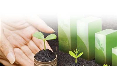    لتدعيم الاقتصاد الأخضر ..التمويل المستدام على رأس أولويات البنوك 