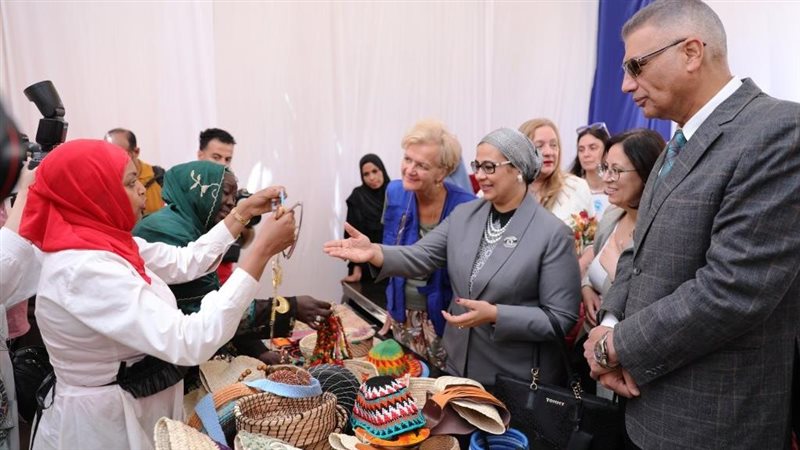 محافظ أسوان