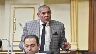 «كان معاه نسخة مسرّبة».. برلماني يكشف كواليس «خناقة» النواب 