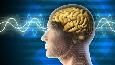 لصحة الدماغ والتركيز والكبد والعضلات .. اعرف ما هو 