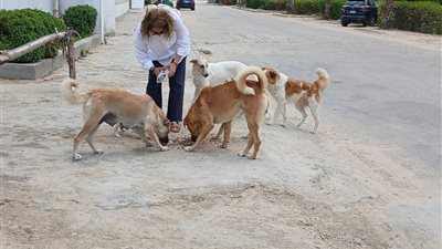 بعد نشر 