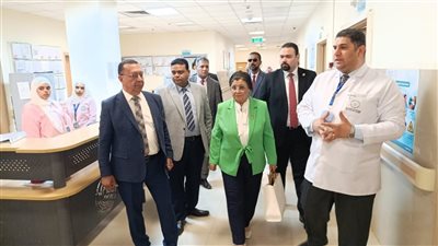 ئائب وزير الصحة تتفقد عددًا من المنشآت الصحية بمحافظة أسوان
