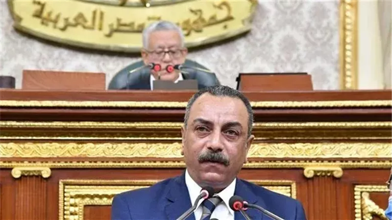 النائب إيهاب الطماوي،