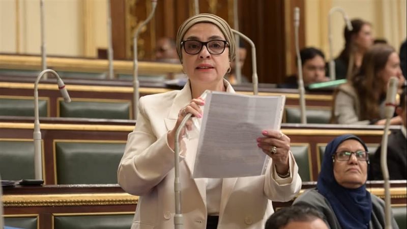 النائبة سميرة الجزار