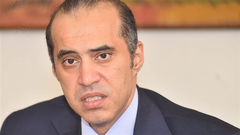المستشار محمود فوزي