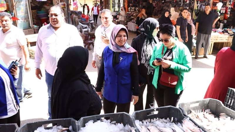 نائب محافظ دمياط