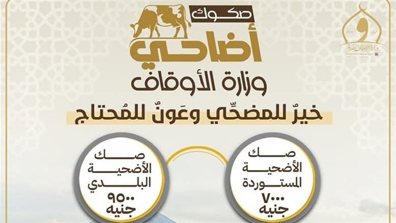 الاضاحي