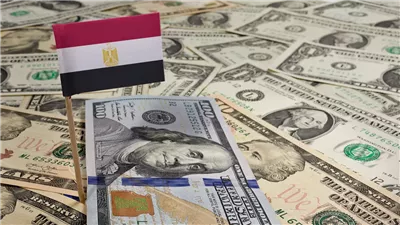 خبيرة اقتصادية: احتياطي النقد الأجنبي فى مصر يقفز إلى 48 مليار دولار