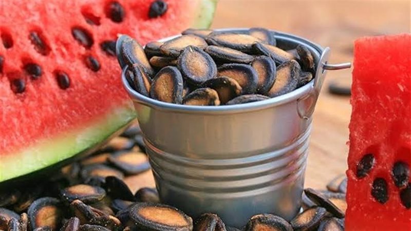 بذور البطيخ