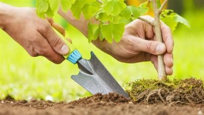 بعد تكرار موجات الحر.. كيف تهدد الحرارة مستقبل غذائنا؟