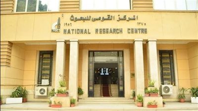 المركز القومي للبحوث يوضح أسس التغذية السليمة للأطفال في عيد الأضحى