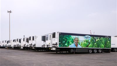 انتعاشة.. ميناء دمياط يستقبل السفينة OLYMPOS SEAWAYS عبر خط الرورو