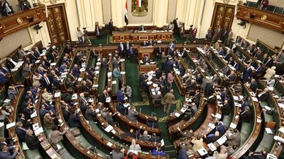 تضامن النواب: 54 مليار جنيه مخصصات تكافل وكرامة لـ 17 مليون مواطن 
