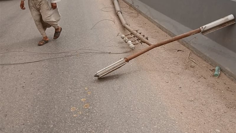 ارشيفية