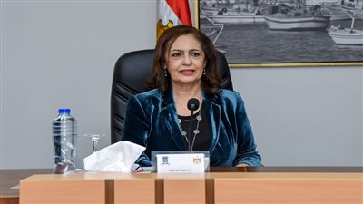نائلة جبر: مصر تقود حربًا شاملة ضد الهجرة غير الشرعية|فيديو