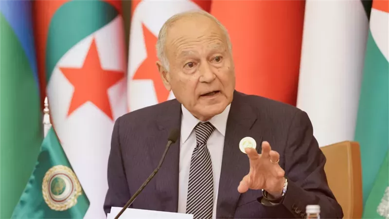 أحمد أبو الغيط