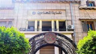 برلمانى يطالب بإحالة مقيم الطعن ضد 