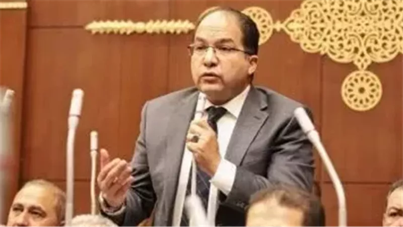 عادل اللمعي