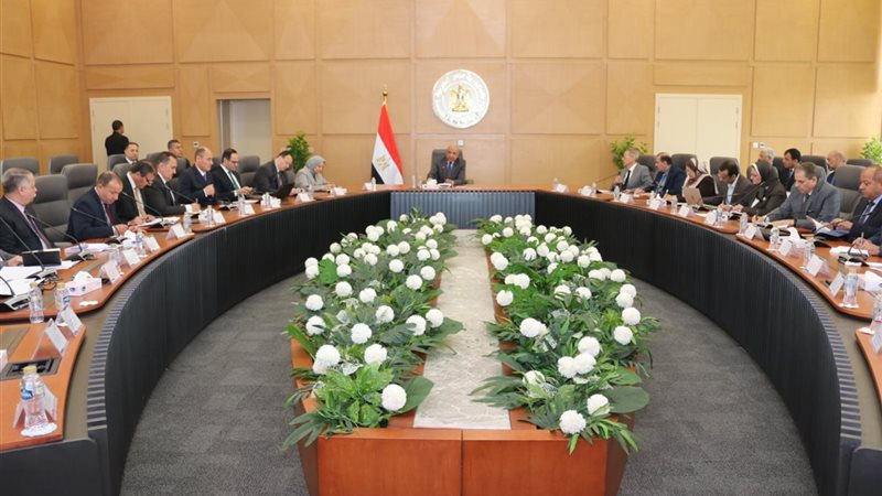 وزير الكهرباء