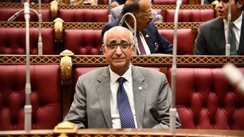 النائب حسانين توفيق،