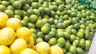 ارتفاع جنوني فى أسعار الليمون يثير غضب المواطنين.. والتجار يوضحون الأسباب