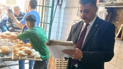 قبل بيعها للمواطنين.. ضبط 3 أطنان أسماك ولحوم مجمدة مجهولة المصدر بالمنوفية