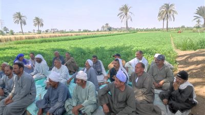 «الزراعة» تستعرض جهود المركزية لمكافحة الآفات خلال النصف الأول من مايو