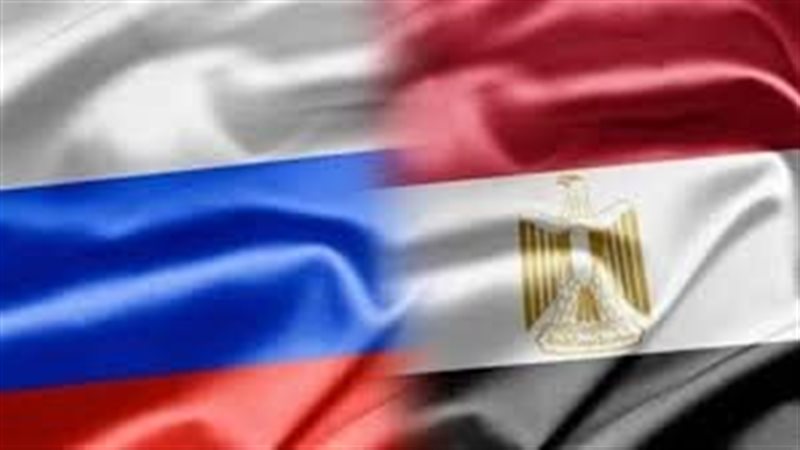 العلاقات المصرية