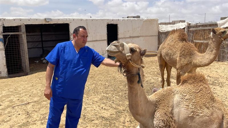 مركز بحوث الصحراء